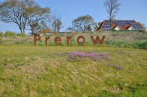 Stoertebeker-1, Prerow